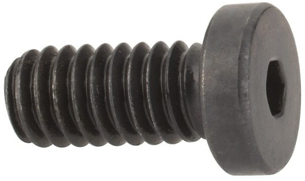 Low Head Socket Cap Screw: #8-32, 3/8