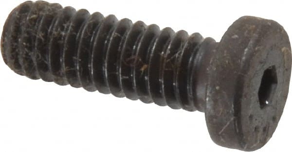 Low Head Socket Cap Screw: #8-32, 1/2