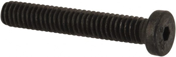 Low Head Socket Cap Screw: #8-32, 5/8