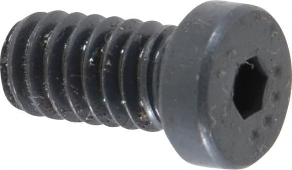 Low Head Socket Cap Screw: 1/4-20, 1/2