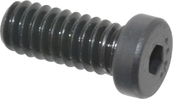 Low Head Socket Cap Screw: 1/4-20, 5/8