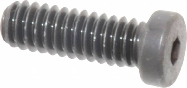 Low Head Socket Cap Screw: 1/4-20, 3/4