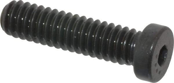 Low Head Socket Cap Screw: 1/4-20, 1