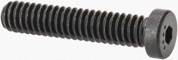 Low Head Socket Cap Screw: 1/4-20, 1-1/4