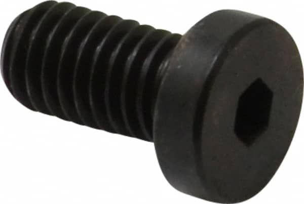 Low Head Socket Cap Screw: #10-32, 3/8