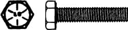 Hex Head Cap Screw: 5/16-24 x 4