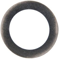 Round Shim: 0.2 mm Thick, 25 mm ID MPN:M-SHIM-17-SS