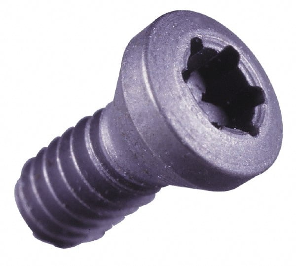 Lock Screw for Indexables: M2.5 x 0.45 Thread MPN:6-998-2504