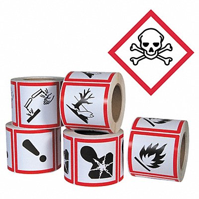 Pictogram Label Skull PK500 MPN:GHS1264