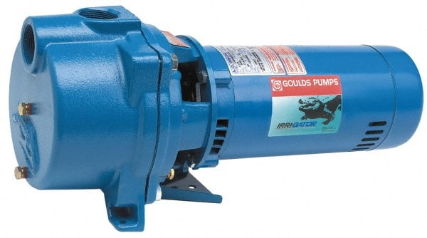 Self-Priming Centrifugal Pump: 8.1 & 16.2A, 1 Phase, 1 hp MPN:GT10