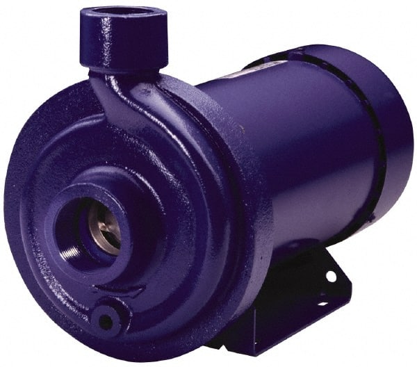 AC Straight Pump: 115/230V, 14.8/7.4A, 3/4 hp, 1 Phase, Cast Iron Housing, 316L Stainless Steel Impeller MPN:1MC1D4D0