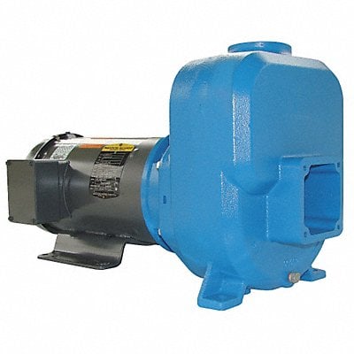 Self Priming Pump 3 HP Cast Iron MPN:30SPH20