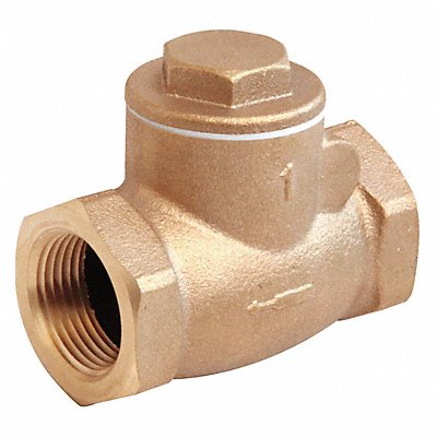 Swing Check Valve Bronze 2-1/2 FNPT MPN:10F296