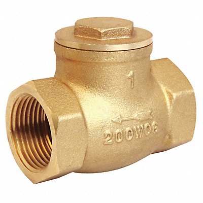 Swing Check Valve Brass 1 FNPT MPN:10F324