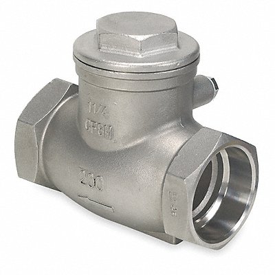 Swing Check Valve 316 SS 2 FNPT MPN:4VMV6