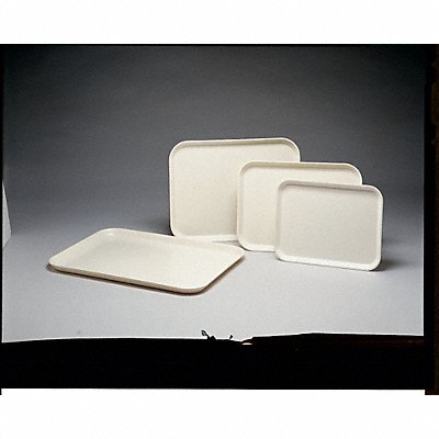 Tray Beige 16 3/8 in 12 in MPN:3024031537