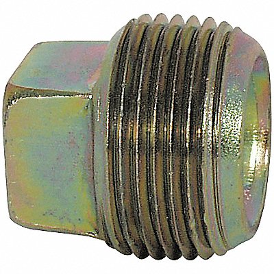 Square Head Plug MNPT 1/8 in 10 PK MPN:5RLF2