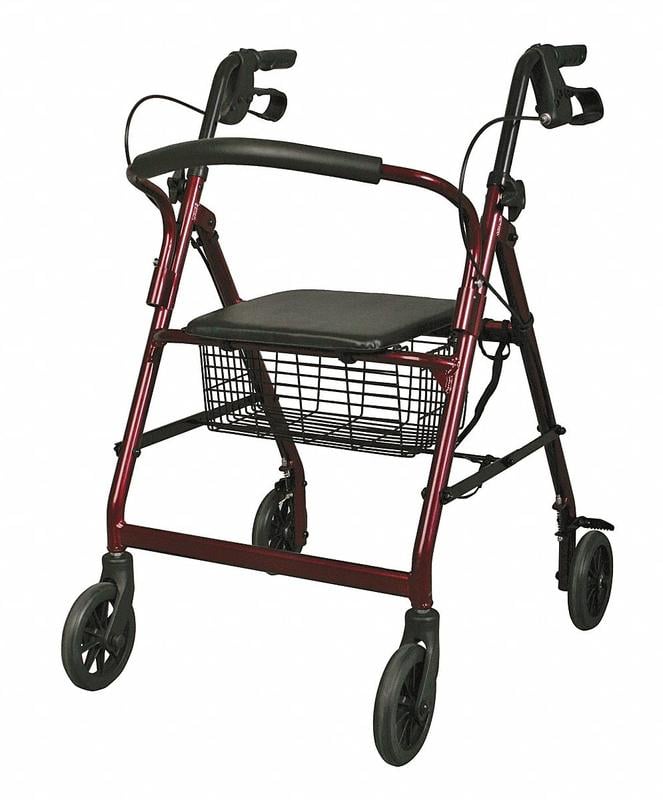 Example of GoVets Rollators category