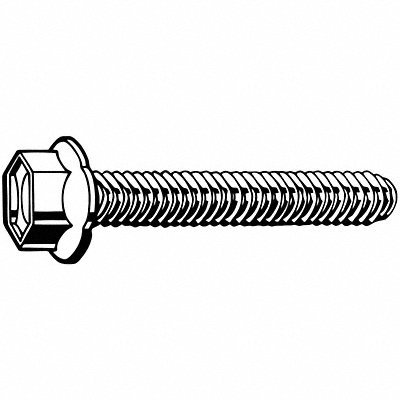 Example of GoVets Thread Forming and Cutting Screws category