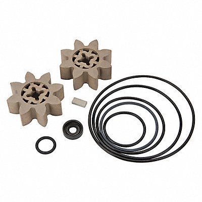 Gear Pump Overhaul Kit Fits GPI Brand MPN:110504-1