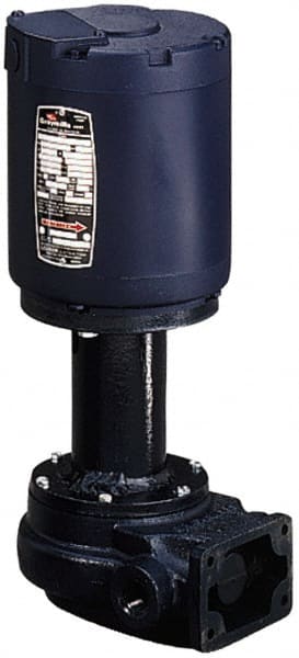 Flanged Outside Suction Pump: 1/6 hp, 115V, 1 Phase, 3,450 RPM, Cast Iron Housing MPN:CSW111H-1/6A