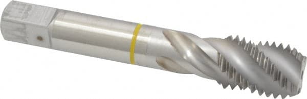 Spiral Flute Tap: 3/4-10, UNC, 4 Flute, Modified Bottoming, 2B Class of Fit, Cobalt, Bright/Uncoated MPN:9039040190500