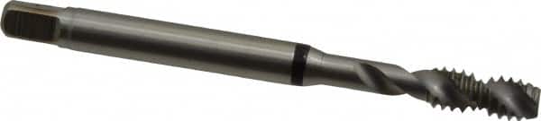 Spiral Flute Tap: #10-24, UNC, 2 Flute, Modified Bottoming, 2B Class of Fit, Cobalt, Bright/Uncoated MPN:9039310048260
