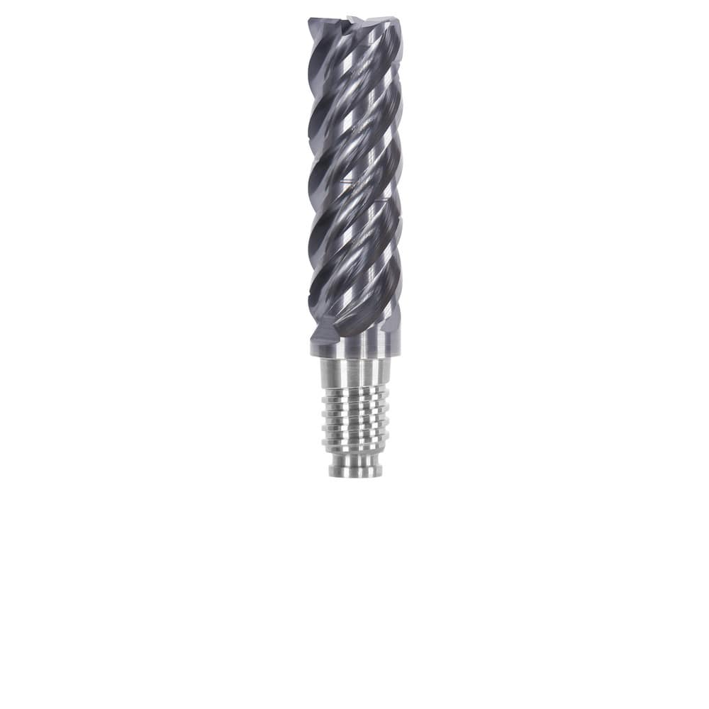 Corner Radius & Corner Chamfer End Mill Heads, Chamfer Angle: 45.000 , Number Of Flutes: 5 , End Mill Material: Solid Carbide , Connection Type: Duo-Lock 10  MPN:DL10F1105LL1000