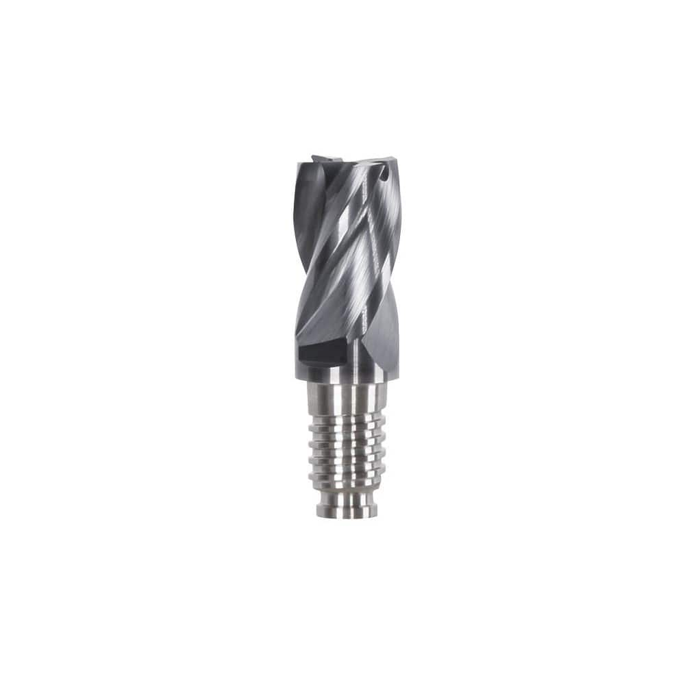 Corner Radius & Corner Chamfer End Mill Heads, Chamfer Angle: 45.000 , Number Of Flutes: 4 , End Mill Material: Solid Carbide , Connection Type: Duo-Lock 10  MPN:DL10F2004MN0300