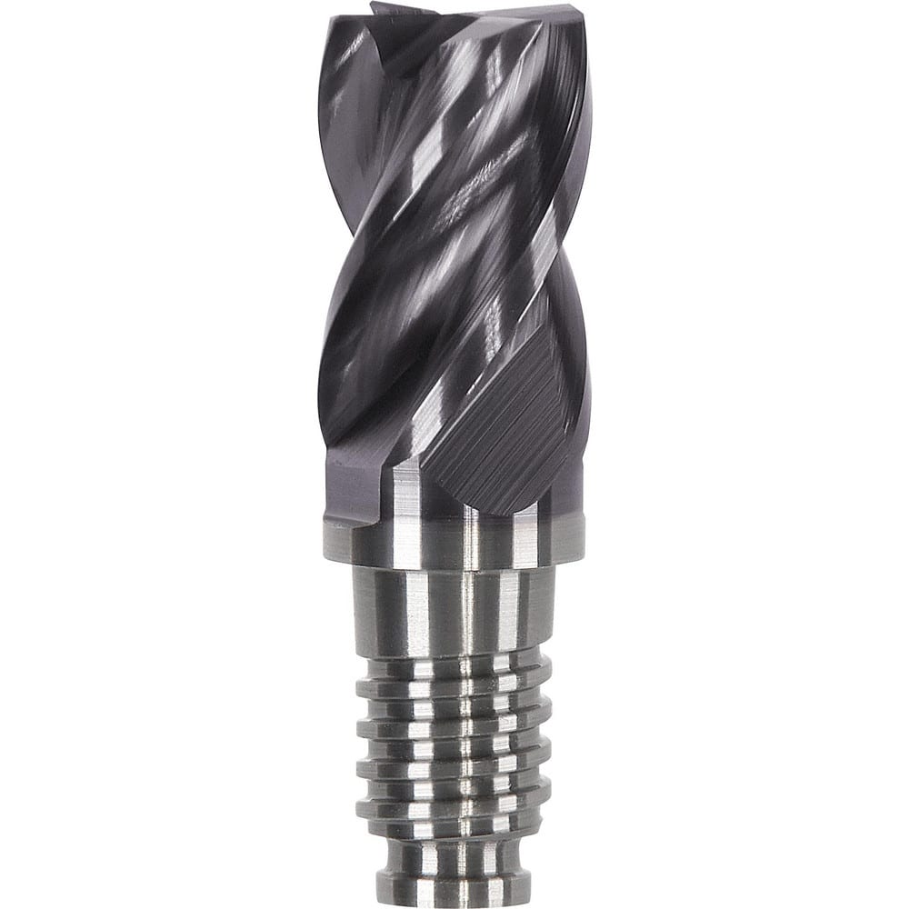 Corner Radius & Corner Chamfer End Mill Heads, Chamfer Angle: 45.000 , Number Of Flutes: 4 , End Mill Material: Solid Carbide , Connection Type: Duo-Lock 16  MPN:DL16F1004MN5/8Z