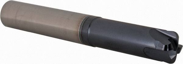 Corner Radius End Mill: 12 mm Dia, 0.6 mm LOC, 2.47 mm Radius, 4 Flutes, Solid Carbide MPN:5622472