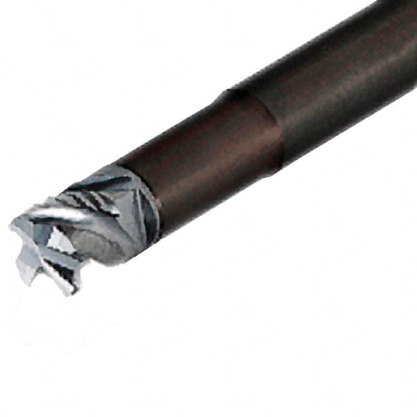 Replaceable Tip Milling Shank: Series Multimaster, 0.6