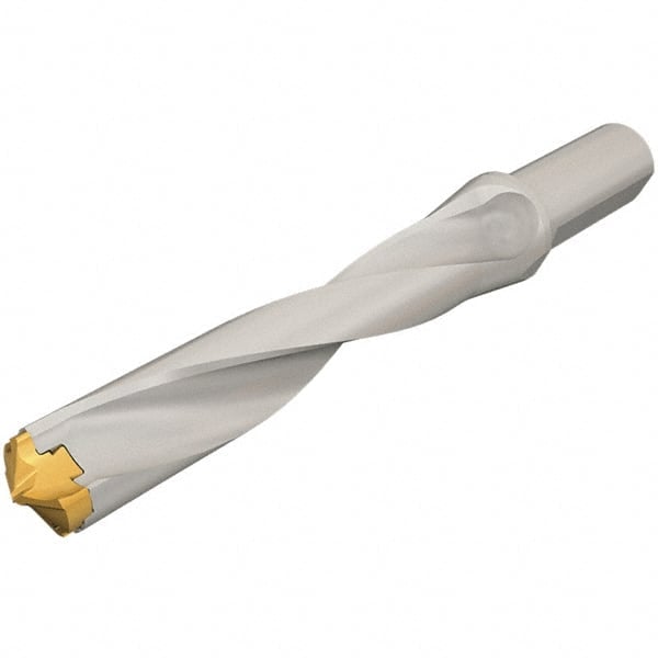 Replaceable-Tip Drill: 22 to 22.9 mm Dia, 110 mm Max Depth, 25 mm Weldon Flat Shank MPN:3200680