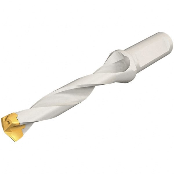 Replaceable-Tip Drill: 17 to 17.9 mm Dia, 85 mm Max Depth, 20 mm Weldon Flat Shank MPN:3201046