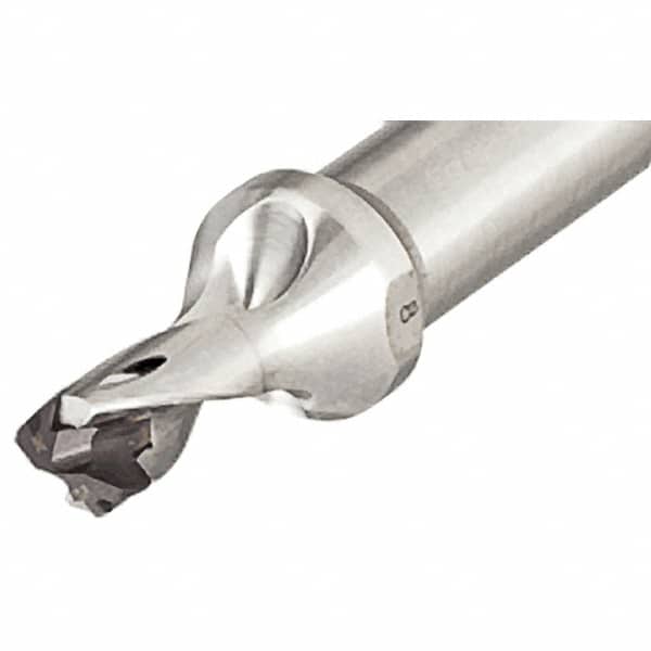 Replaceable-Tip Drill: 30 to 30.9 mm Dia, 50.5 mm Max Depth, 32 mm Straight-Cylindrical Shank MPN:3203145