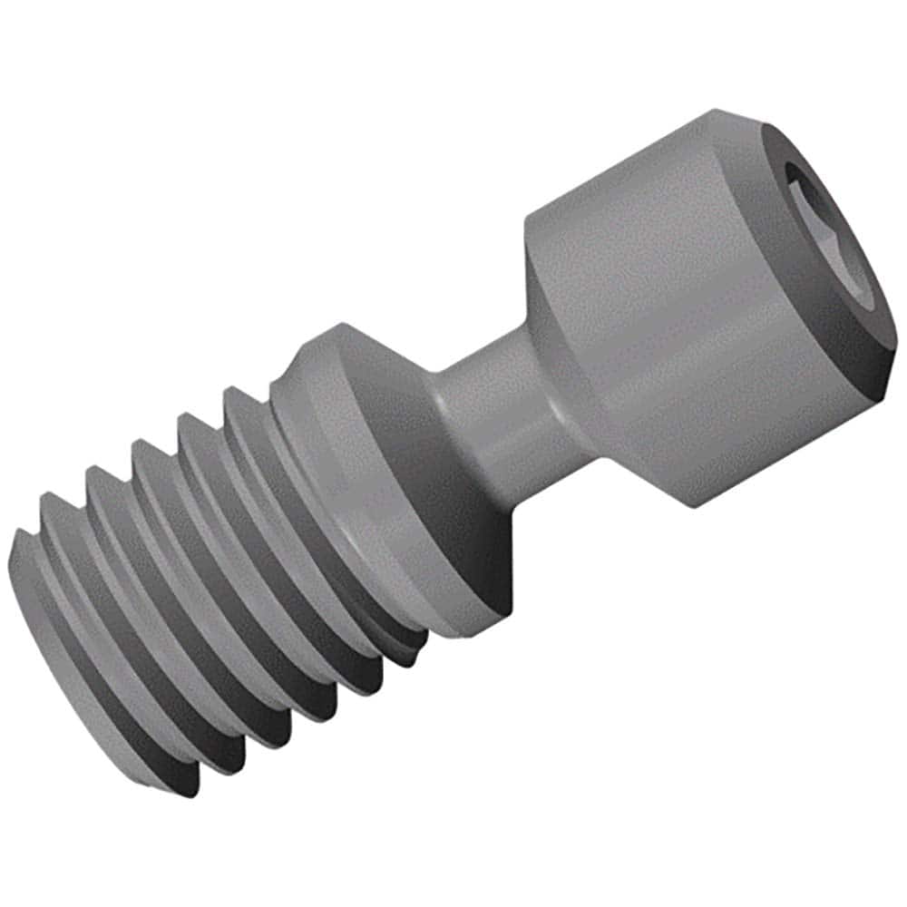 Insert Screw for Indexables: Insert for Indexable MPN:4300537