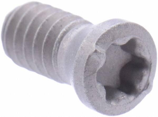 Cap Screw for Indexables: T6, Torx Drive, M2 Thread MPN:7003603