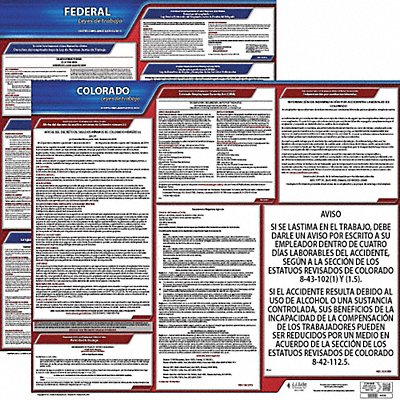 Labor Law Poster Fed/STA CO SP 20inH 3yr MPN:200-CO-3