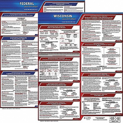 Labor Law Poster Fed/STA WI SP 20inH 3yr MPN:200-WI-3