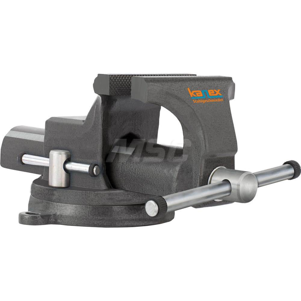 Bench Vise: 5