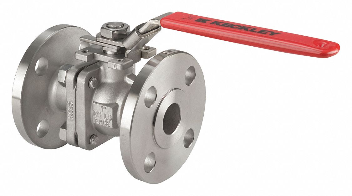 Ball Valve 1 Size 316 SS Full Port MPN:BVF2RF2FSSRGSL-100