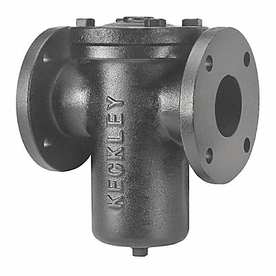 Basket Strainer 13 3/4 H 200 psi Bolted MPN:41FFS-CI125P34-FBI-GFV