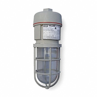 Example of GoVets Hazardous Location Lighting Fixtures category