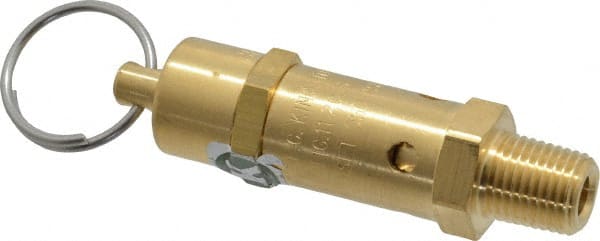 ASME Safety Relief Valve: 1/4