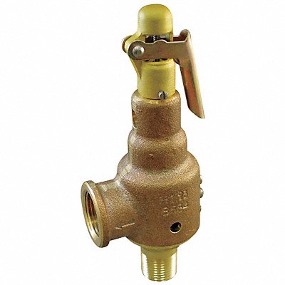 D4476 Safety Relief Valve 1/2 x 3/4 In 100 psi MPN:6010DCE01-AM0100