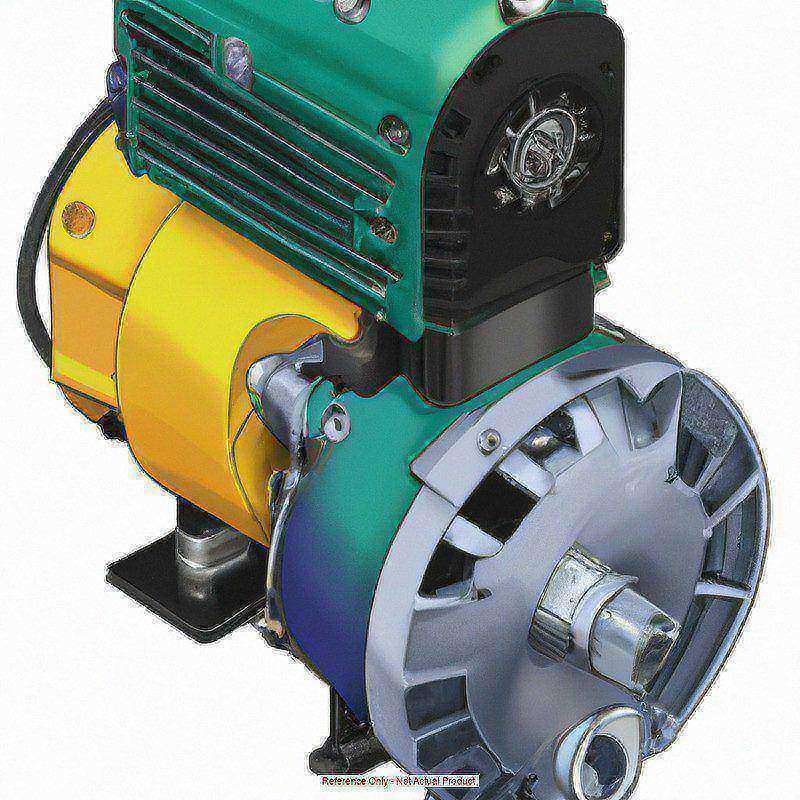 Pressure Washer Motor 2 hp 1725 RPM MPN:113281.00