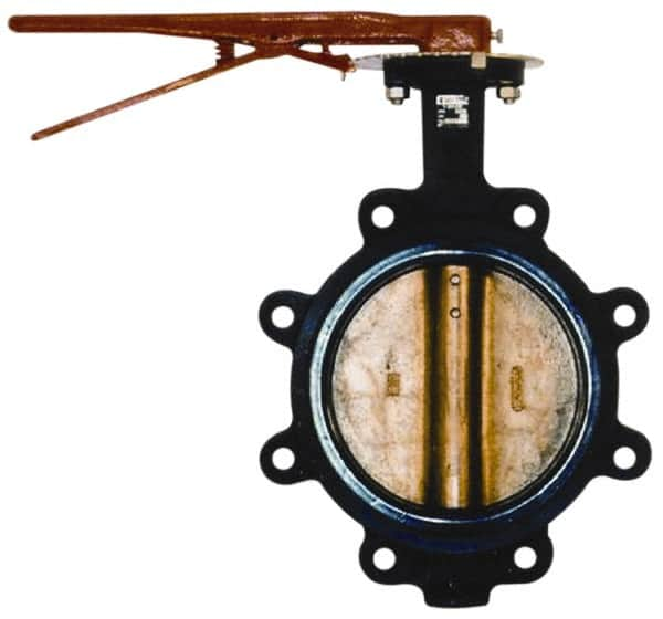 Manual Lug Butterfly Valve: 2