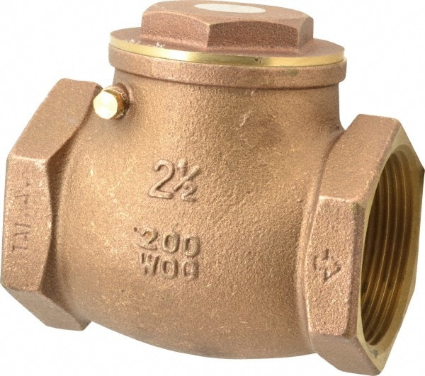 Check Valve: 2-1/2