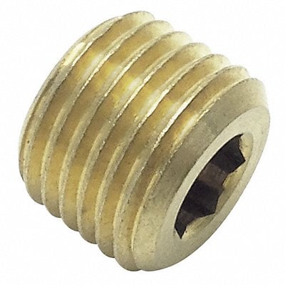 Internal Hex Head Plug 1/2 in L MPN:0205 21 00