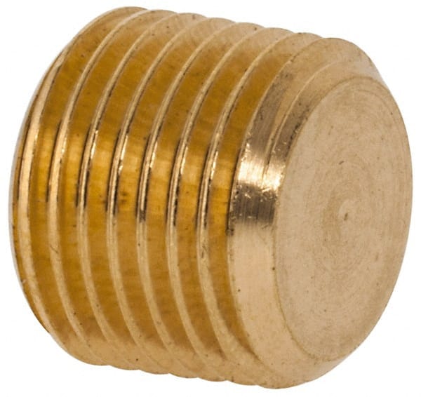 Industrial Pipe Hollow Hex Plug: 1/8